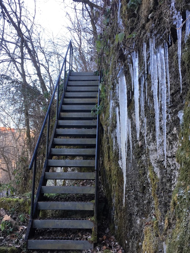 Stairs along the trail