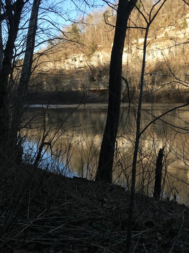 Another view along river trail